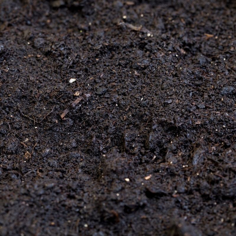 Soil & Mulch