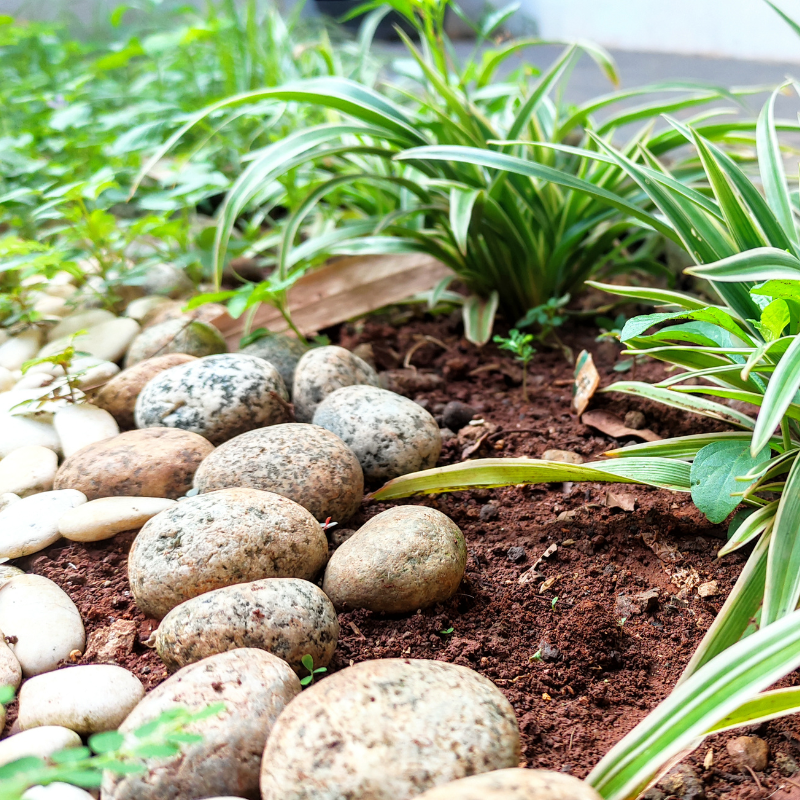 Soil & Stone