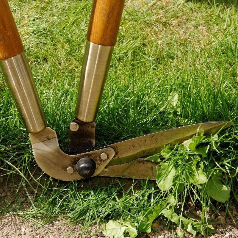 Edging Tools - MCK Hardware Edenderry