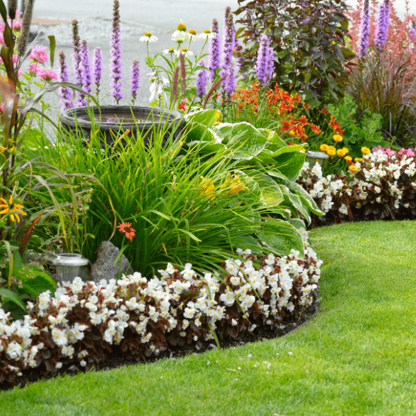 Gardening - MCK Hardware Edenderry