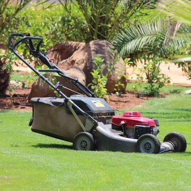 Lawnmowers - MCK Hardware Edenderry