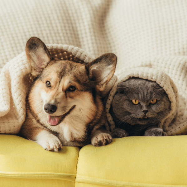 Pet Care - MCK Hardware Edenderry